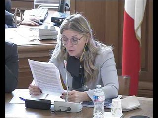 Roma - Politica commerciale nell'Ue, audizione Confindustria (11.01.17)