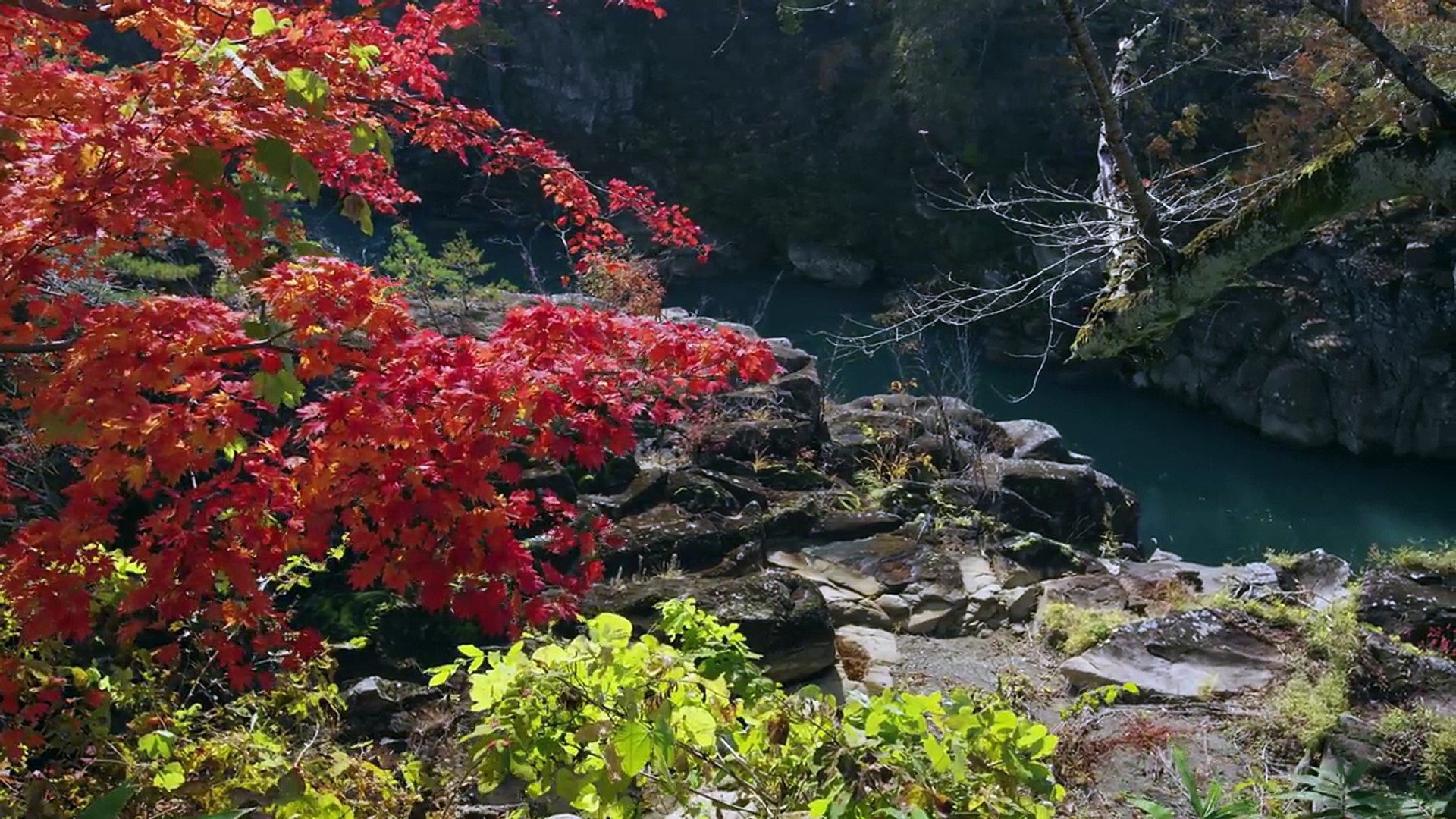 Autumn Colors in Tohoku - Japan 4K (Ultra HD)