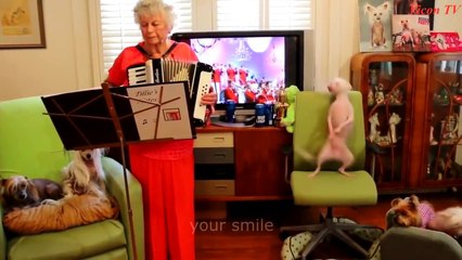 Самые крутые приколы за весь 2016 год!