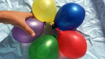 Finger Family Pearl Flower Water wet Balloons - Learn Colors Flower Balloon Nursery Songs for Kids