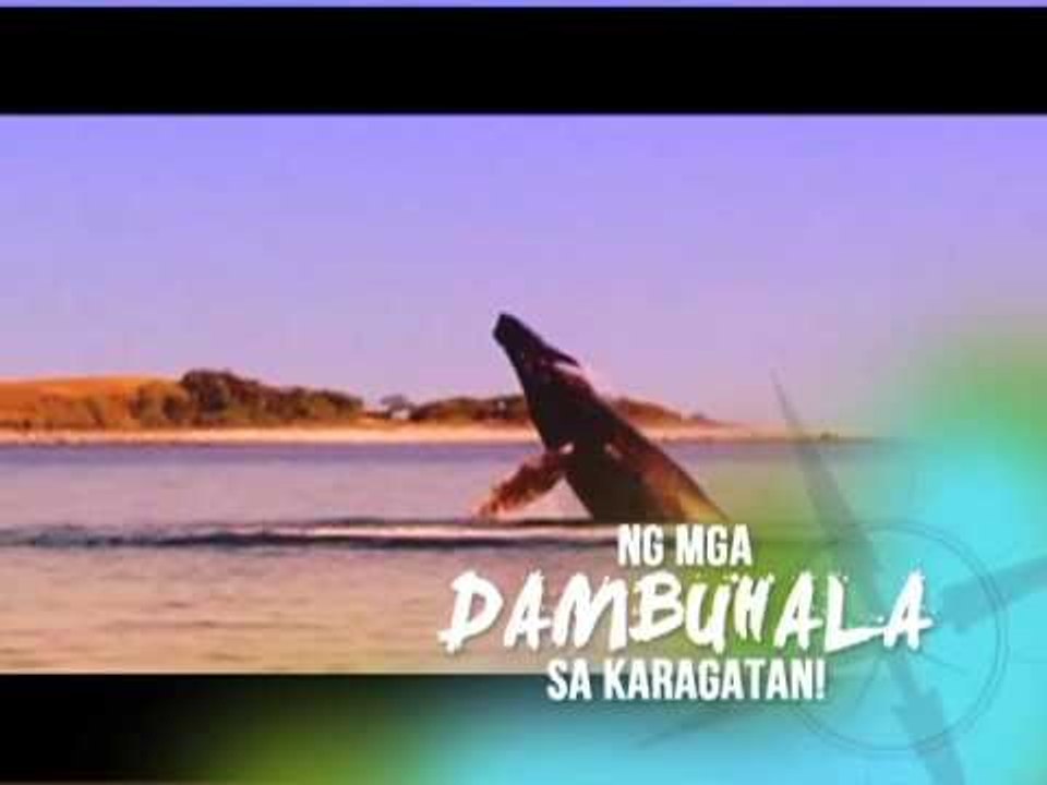 The BORN Expeditions: Coming Soon!