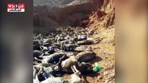 ننشر أول فيديو لمقبرة الحمير بسوهاج.. والمحافظ يشكل لجنة لفحص الواقعة