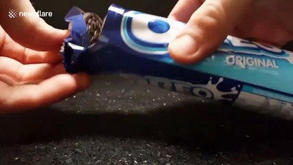 How to make an Oreo and Creme Egg Scotch egg dessert