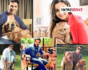 The Pet Stars Of Tinsel Town