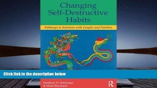 Read Book Changing Self-Destructive Habits: Pathways to Solutions with Couples and Families