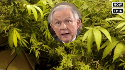 Jeff Sessions Still Hates Weed