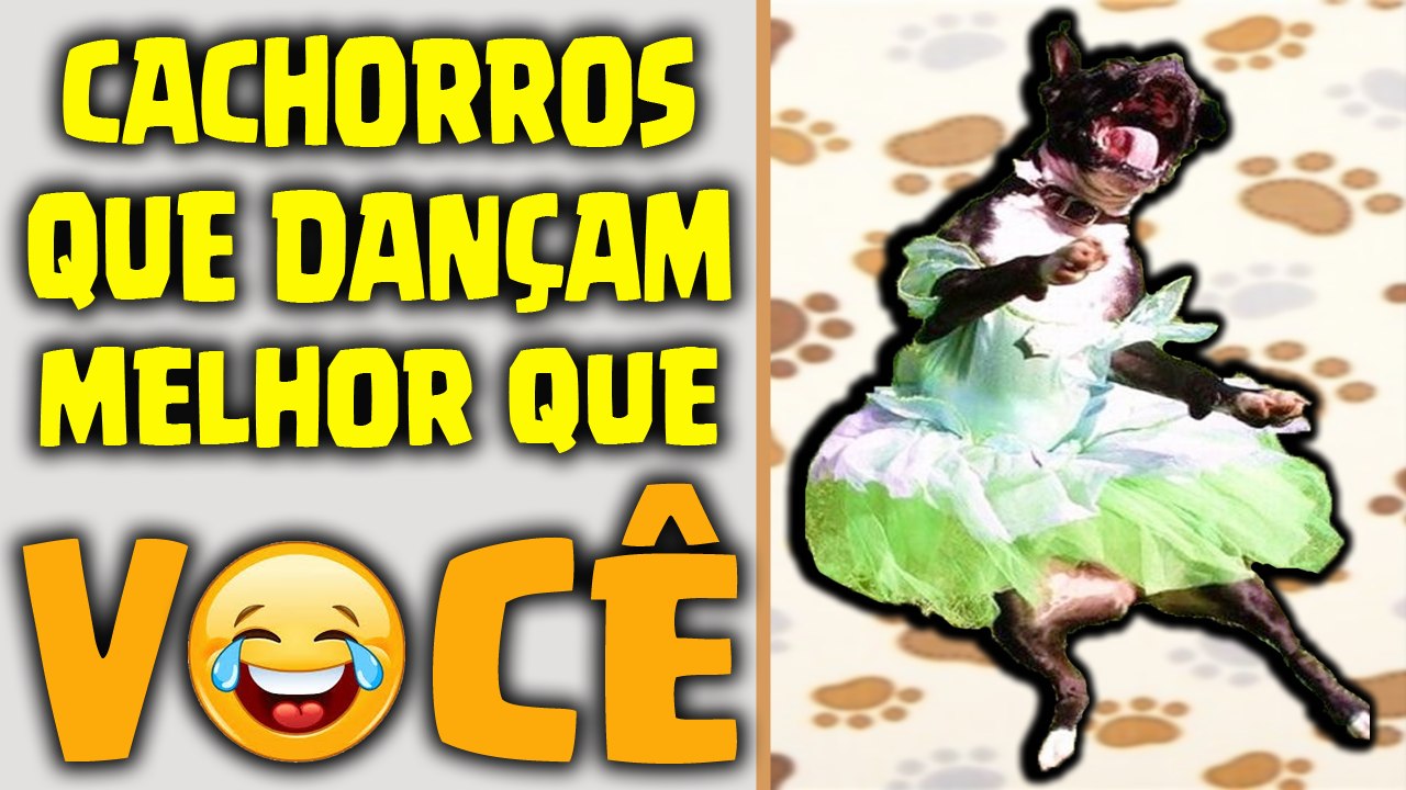 Dog Dance - Cachorros Dançando