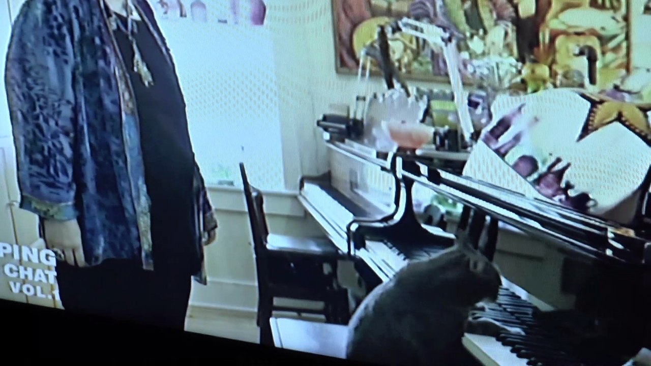 Un chat regarde la TV