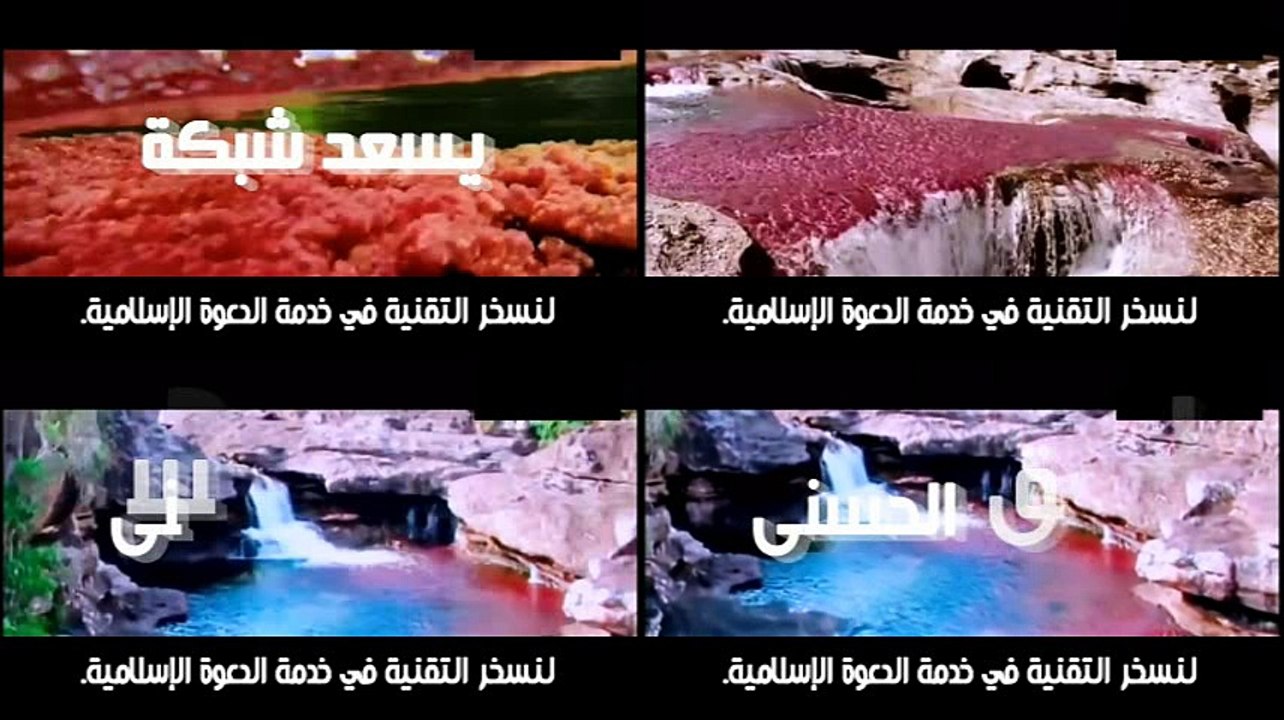 الفرق بين صلاة الجماعة في البيت والمسجد. الشيخ صالح المنجد.