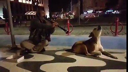 KOMEDİ DÜNYASI  Bir Kare YORUMSUZ...!