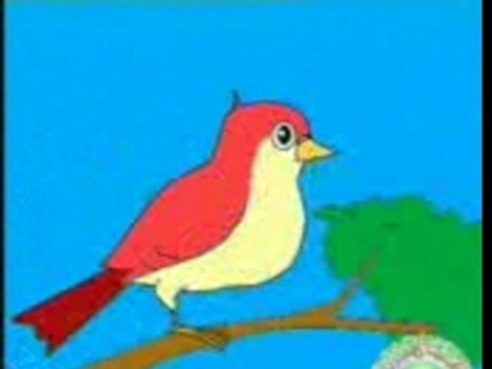 الطيور ‎