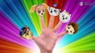 Finger Family Animals 3D for Children, Babies and Toddlers - Daddy Finger Nursery Rhyme Collection