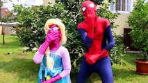 Joker Loses His Nose! - Spiderman vs Frozen Elsa w Bad Baby Poo w Pink Spidergirl, Superman, Mermaid