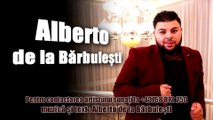 Alberto de la Barbulesti - Vino langa mine (Audio) HiT 2017