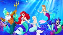 Frozen Elsa Mermaid Finger Family Song Nursery Rhymes Lyrics