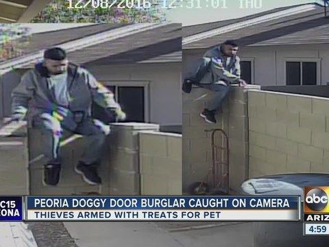 Thieves break into Peoria home, steal multiple items from home