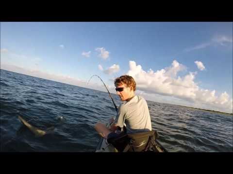 Kayak Fishermen Catch and Release Lemon Shark