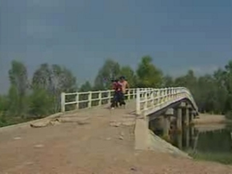 ngau hung ly qua cau - Phi nhung