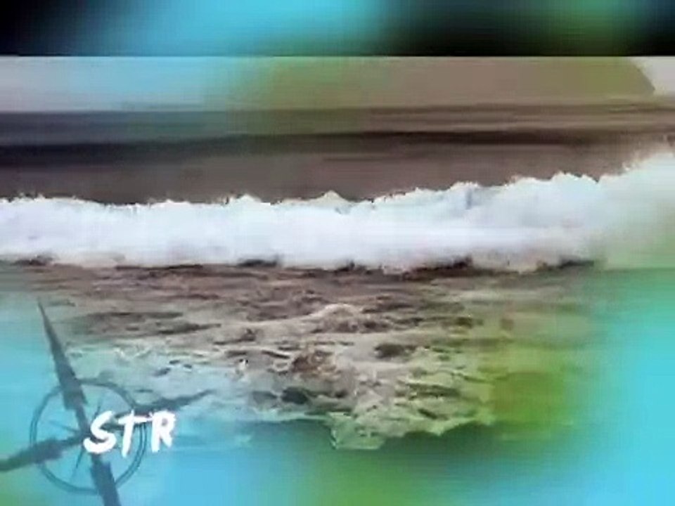 Born to be Wild: BORN EXPEDITIONS III  WHALES