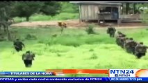 Investigan presuntos combates entre las FARC y disidentes de la guerrilla tras acuerdos de paz