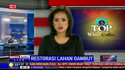 Presiden Targetkan Restorasi Lahan Gambut 7 Provinsi Seluas 400 Ribu Hektare