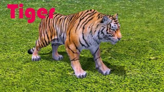 Learn Animals Name   3D Learn Animals Names For Kids   3d Kids Videos   4K Preschool Rhymes