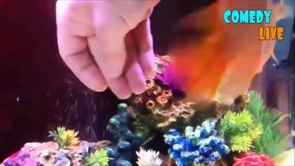 ТЕСТ НА ПСИХИКУ CHALLENGE НЕ ДЕТСКИЕ ПРИКОЛЫ 2016 ЛУЧШИЕ