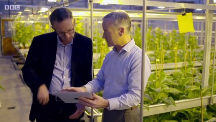 BBC Horizon   E Cigarettes  Miracle or Menace