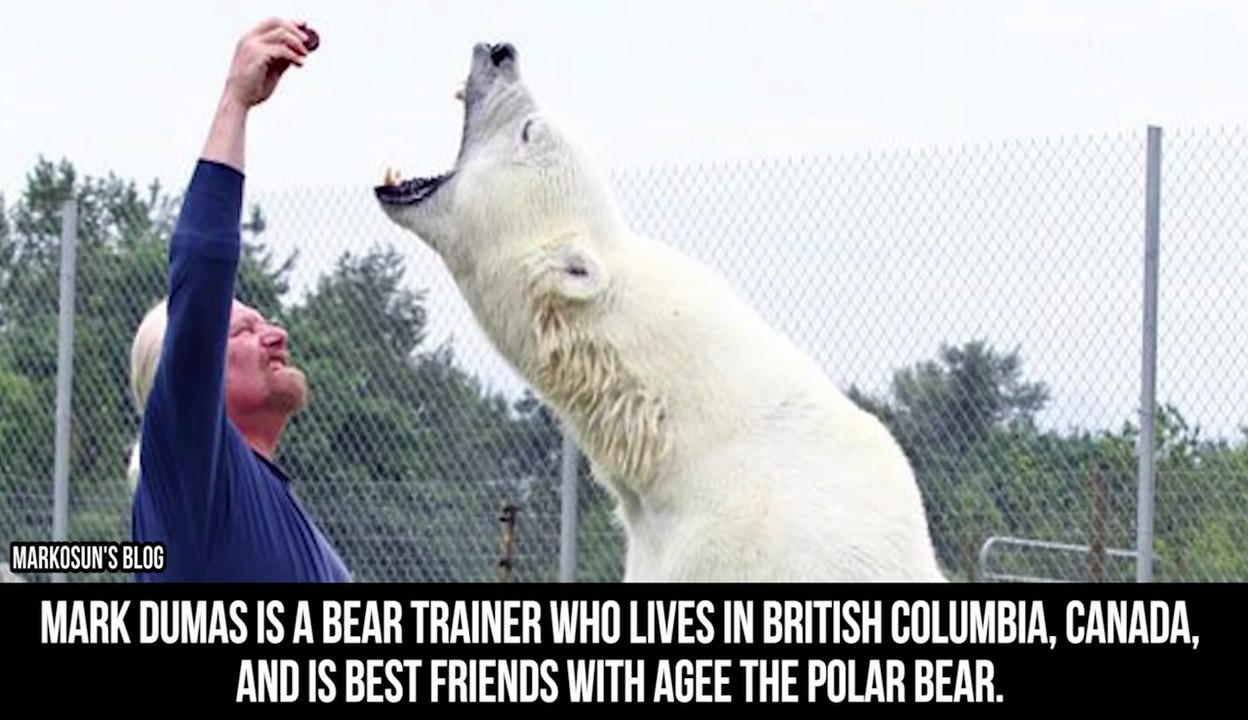 10 Bizarre MATES You Won't Believe!