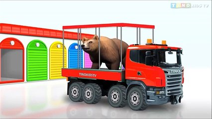 Animal Transporter Learning Color for Kids Learn Animals for Children