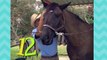 Counting Song Number 5 Horses   Learn Numbers Kids Songs   From Baby Genius