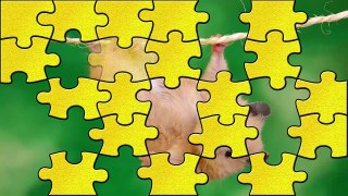 Kids Learn Animal Names Educational Animal Kids Games Puzzle for Children by Antti Lehtine