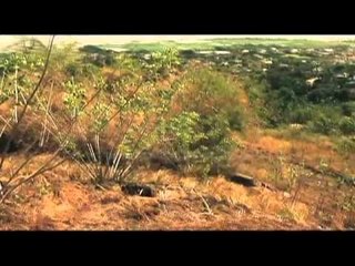 Reporter's Notebook: "Cariño Brutal" and "Wage Increase"