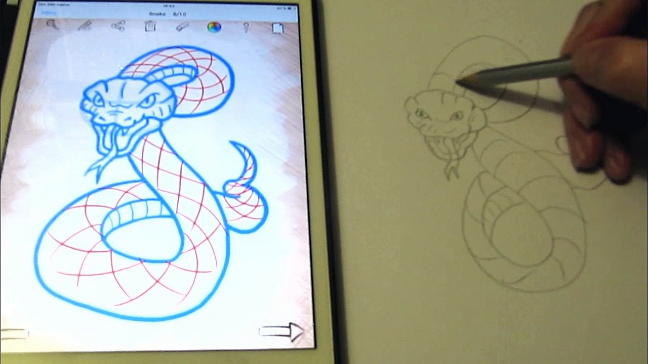 Как нарисовать поэтапно змею. Рисуем змею по шагам. How to draw snake step by step