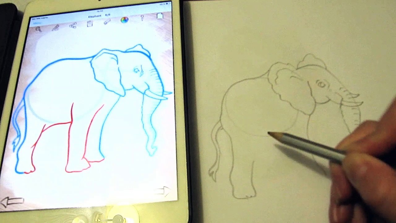 Как нарисовать поэтапно слона. Рисуем слона по шагам. How to draw Elephatn step by step