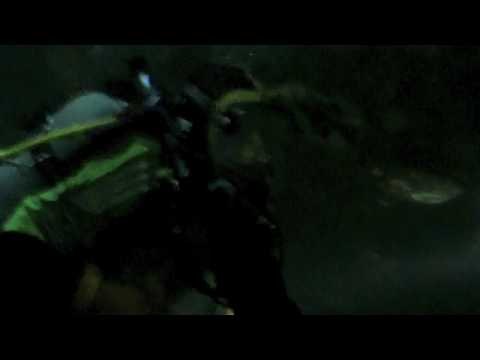 MLS Cup 2009: Diver at Seattle Sounders Welcome Party