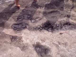 Le mystère de la bouteille bleue.06