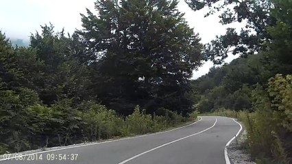 Un mouton attaque une bergère