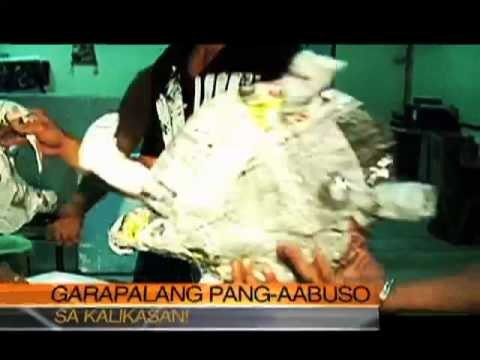 Reporter's Notebook: Black Corals!