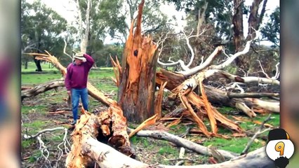 ТОП  ЛЮДЕЙ ПЕРЕЖИВШИХ АД на ЯВУ