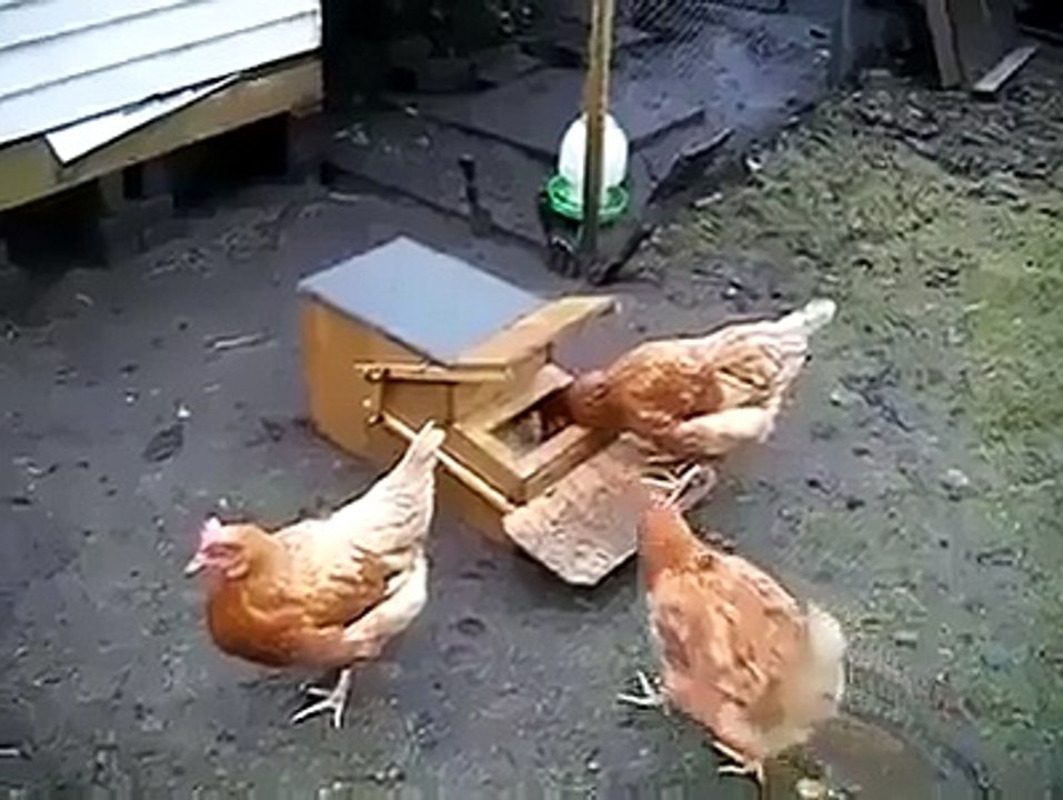yemi sudan ve kuşlardan koruyan mekanizma