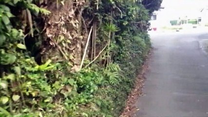 恐怖の投稿映像　ベストセレクション2-2