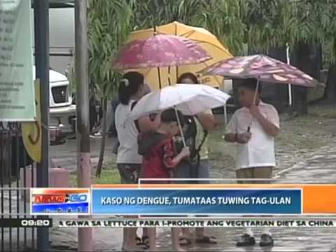 News to Go - Kaso ng dengue, tumataas tuwing tag-ulan 6/10/11