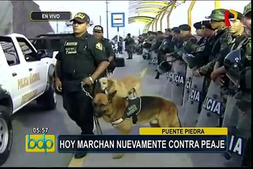 Puente Piedra: más de 1200 policías resguardan peaje por marcha anunciada para hoy
