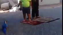 هههههههه موتني الولد من الضحك مسكين مو قادر يكمل صلاته من الخووووف