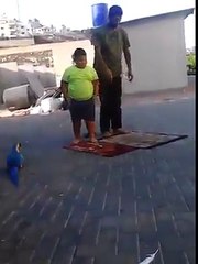هههههههه موتني الولد من الضحك مسكين مو قادر يكمل صلاته من الخووووف