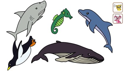 Aquarium Chant _ Happy Valley Year 2 Unit 3-ZEa2GHmftYc