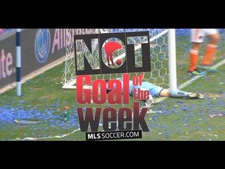 Not Goal of the Week: Week 19