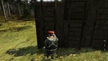Ladder_Bug