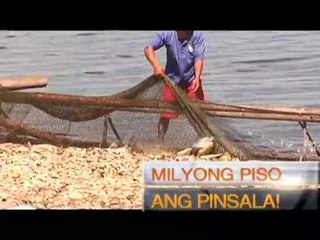 Reporter's Notebook: Nilasong lawa? "THE TAAL LAKE FISH KILL INVESTIGATION"